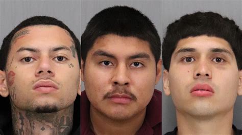 San Jose police: 12 gang members responsible for violent crimes arrested after ‘large-scale operation’
